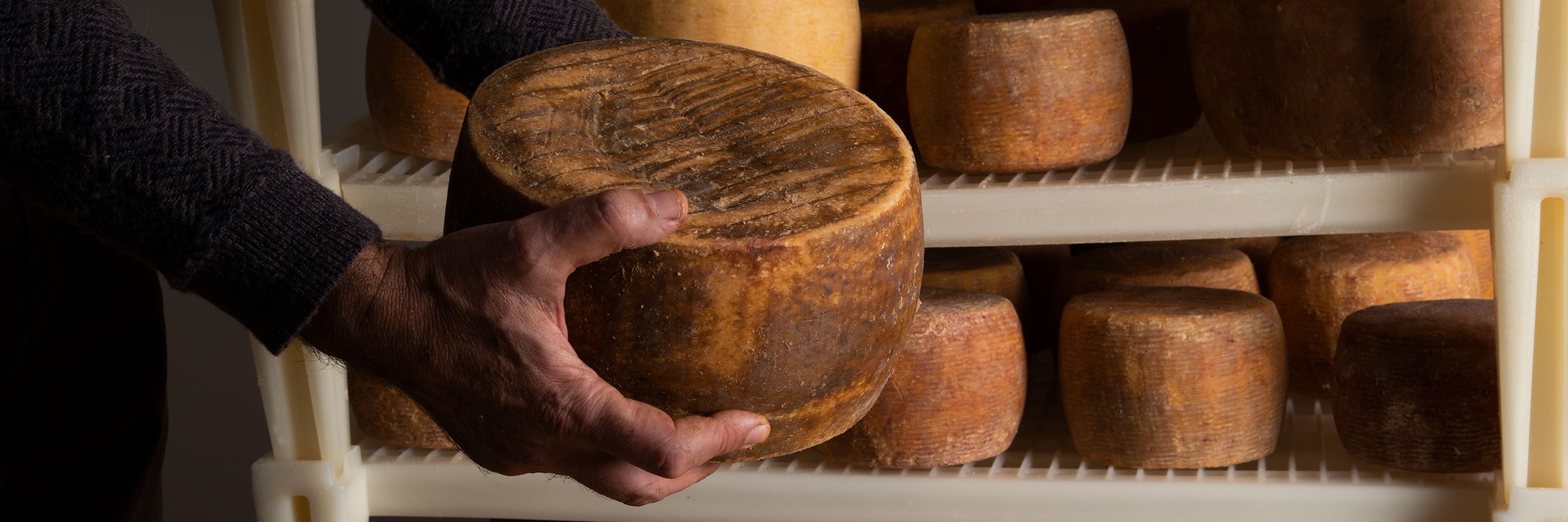 Formaggi tipici del Fortore - Terre di Fortore