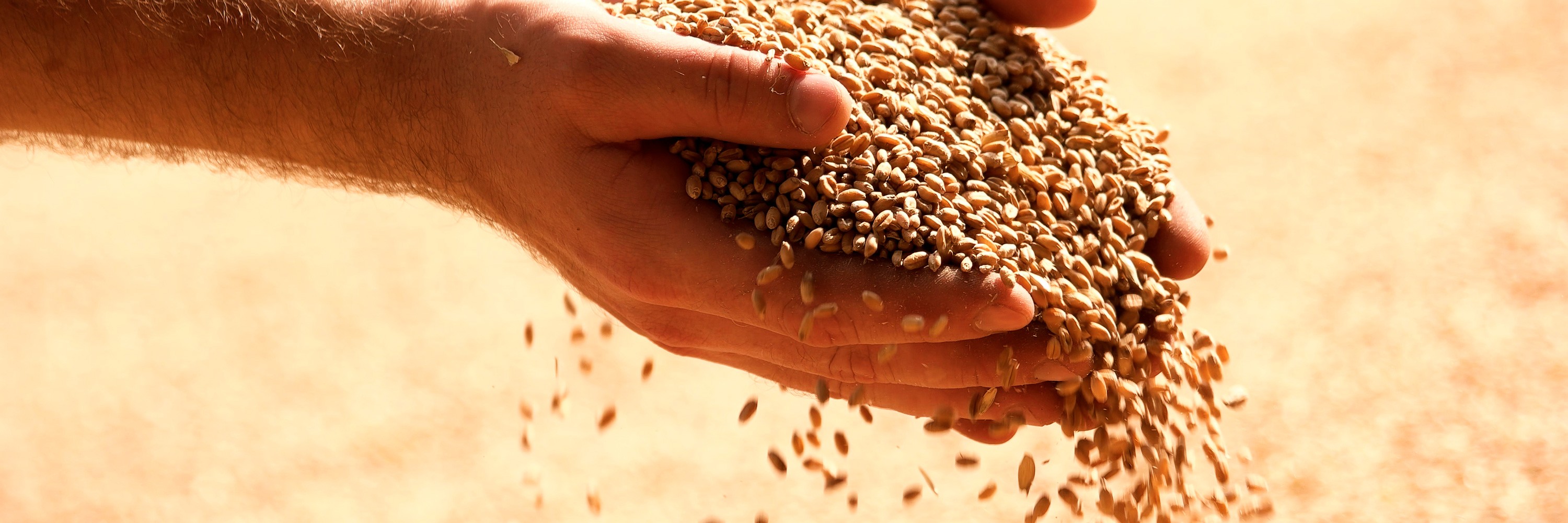 Prodotti tipici del Fortore, acquistali on-line.